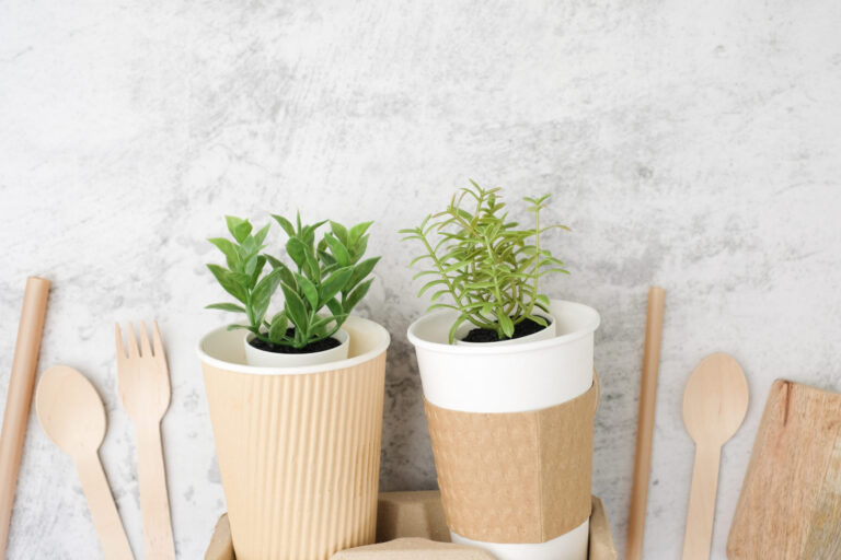 Biodegradable food packaging and sustainable materials with plants in cups.