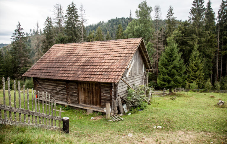 Old wooden house in a rural landscape, illustrating home safety and maintenance.